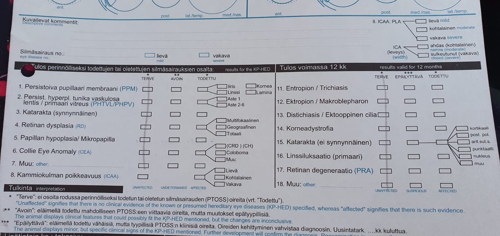 silmätesti